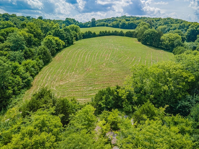 1669 Ewing Ln, Lewisburg, TN 37091 - photo 99