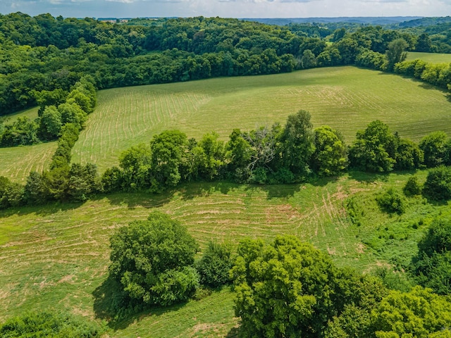 1669 Ewing Ln, Lewisburg, TN 37091 - photo 93