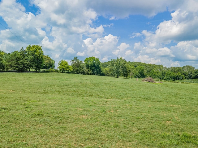 1669 Ewing Ln, Lewisburg, TN 37091 - photo 44