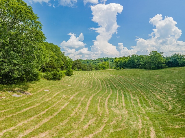 1669 Ewing Ln, Lewisburg, TN 37091 - photo 80
