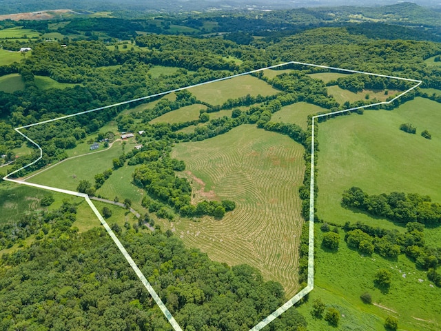 1669 Ewing Ln, Lewisburg, TN 37091 - photo 66