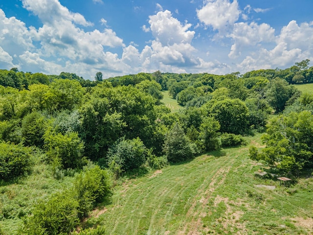1669 Ewing Ln, Lewisburg, TN 37091 - photo 26