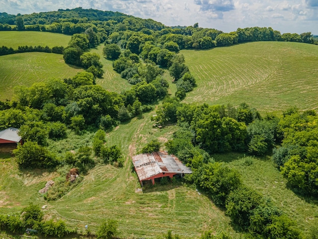 1669 Ewing Ln, Lewisburg, TN 37091 - photo 63