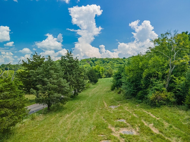 1669 Ewing Ln, Lewisburg, TN 37091 - photo 82