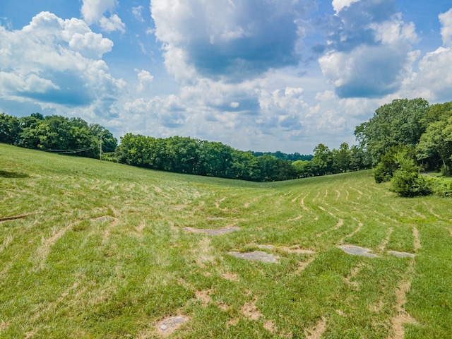 1669 Ewing Ln, Lewisburg, TN 37091 - photo 83