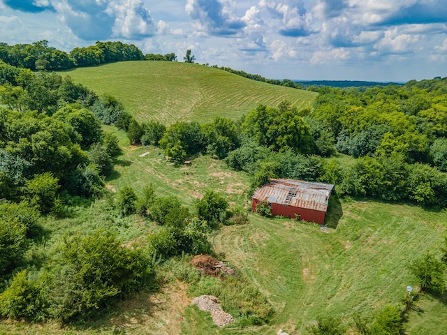 1669 Ewing Ln, Lewisburg, TN 37091 - photo 98
