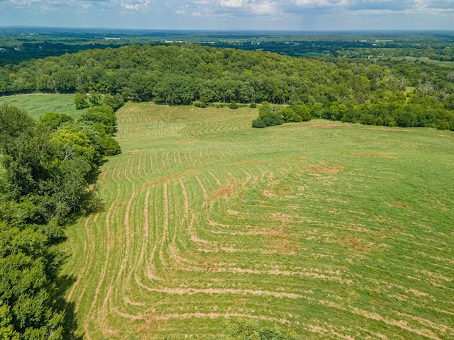 1669 Ewing Ln, Lewisburg, TN 37091 - photo 90