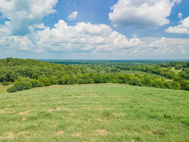 1669 Ewing Ln, Lewisburg, TN 37091 - photo 88