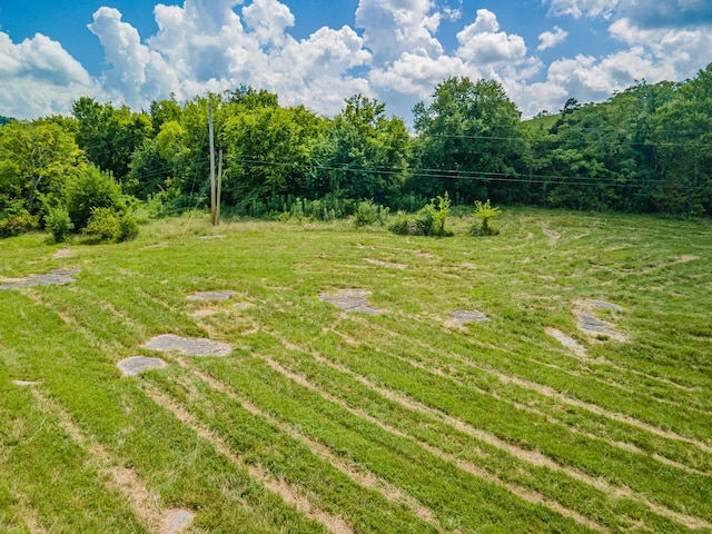 1669 Ewing Ln, Lewisburg, TN 37091 - photo 96