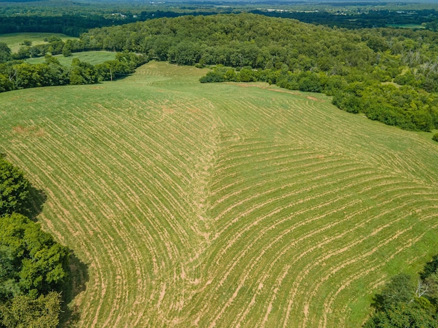 1669 Ewing Ln, Lewisburg, TN 37091 - photo 95