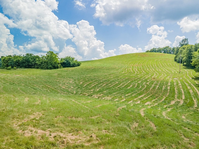 1669 Ewing Ln, Lewisburg, TN 37091 - photo 42