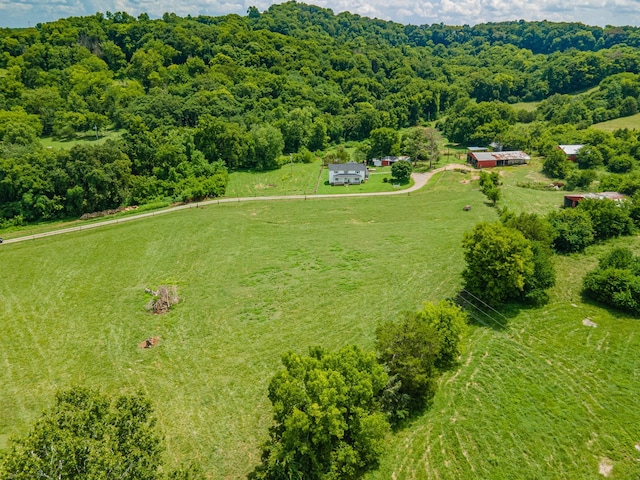 1669 Ewing Ln, Lewisburg, TN 37091 - photo 38
