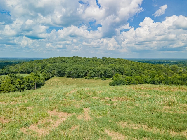 1669 Ewing Ln, Lewisburg, TN 37091 - photo 86