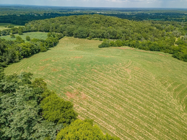 1669 Ewing Ln, Lewisburg, TN 37091 - photo 92