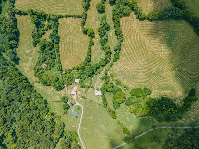 1669 Ewing Ln, Lewisburg, TN 37091 - photo 73