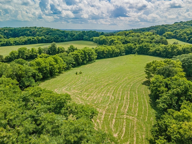 1669 Ewing Ln, Lewisburg, TN 37091 - photo 89