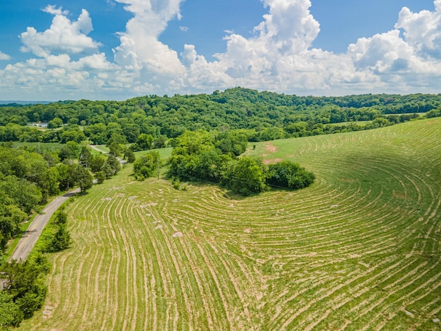1669 Ewing Ln, Lewisburg, TN 37091 - photo 79