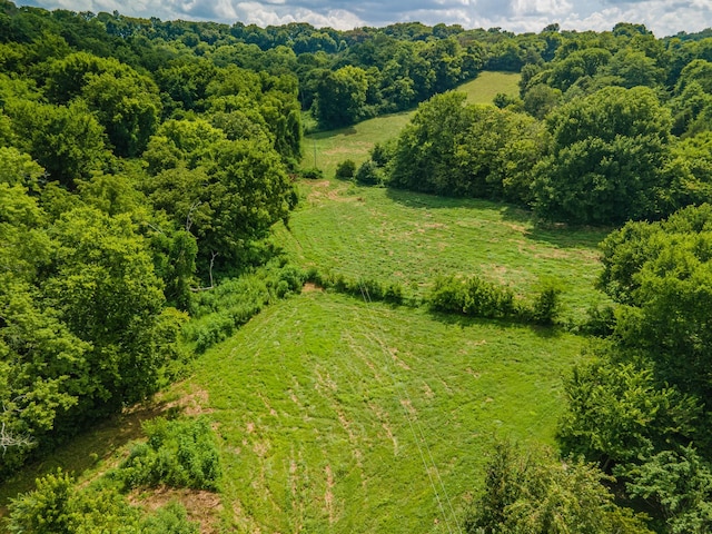 1669 Ewing Ln, Lewisburg, TN 37091 - photo 97