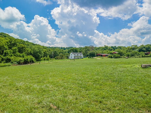 1669 Ewing Ln, Lewisburg, TN 37091 - photo 4