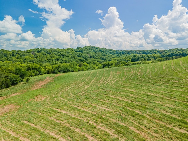 1669 Ewing Ln, Lewisburg, TN 37091 - photo 84