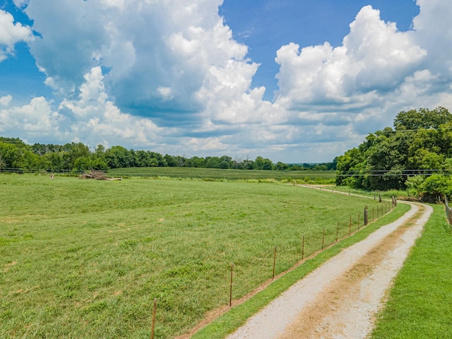 1669 Ewing Ln, Lewisburg, TN 37091 - photo 8
