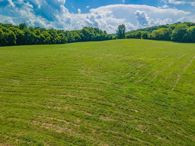 1669 Ewing Ln, Lewisburg, TN 37091 - photo 100