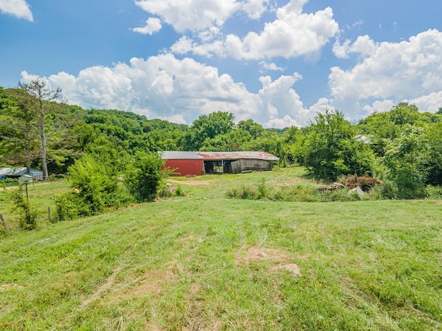 1669 Ewing Ln, Lewisburg, TN 37091 - photo 24