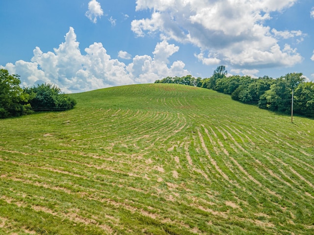 1669 Ewing Ln, Lewisburg, TN 37091 - photo 81