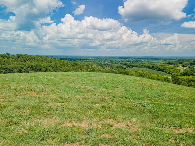 1669 Ewing Ln, Lewisburg, TN 37091 - photo 85
