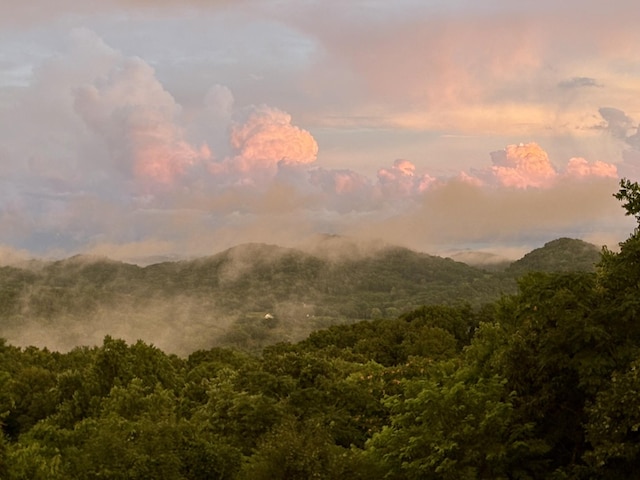 738 Mutton Hollow Hill Rd, Bethpage, TN 37022 - photo 4