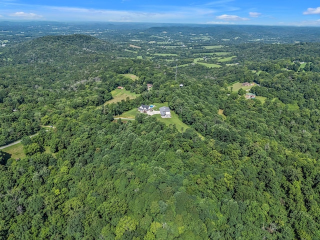 738 Mutton Hollow Hill Rd, Bethpage, TN 37022 - photo 9