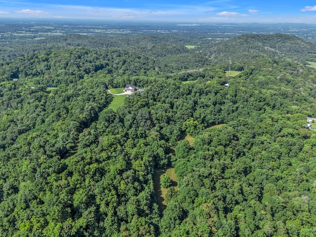 738 Mutton Hollow Hill Rd, Bethpage, TN 37022 - photo 15