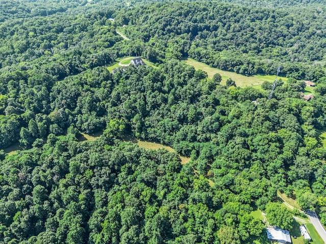 738 Mutton Hollow Hill Rd, Bethpage, TN 37022 - photo 13