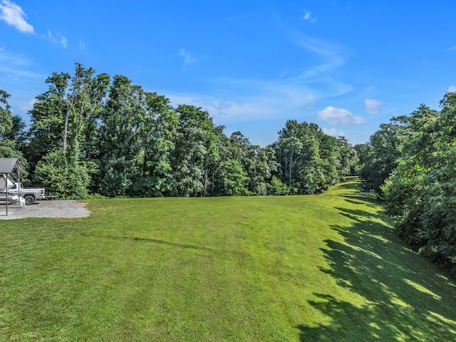 738 Mutton Hollow Hill Rd, Bethpage, TN 37022 - photo 19