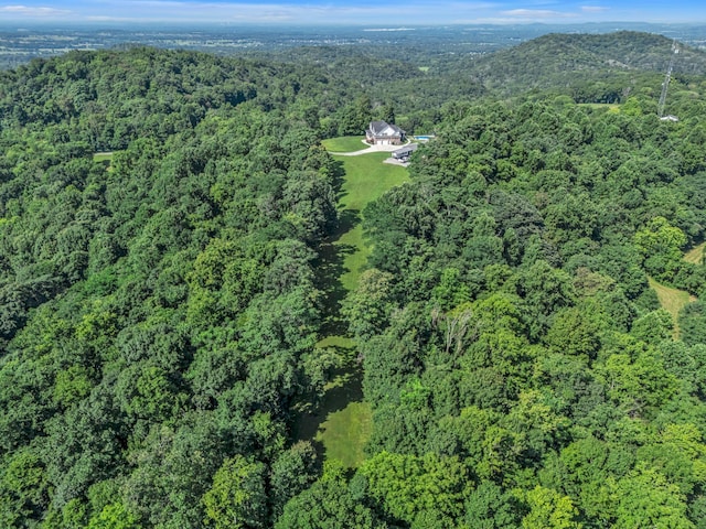 738 Mutton Hollow Hill Rd, Bethpage, TN 37022 - photo 17