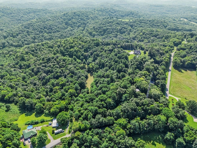 738 Mutton Hollow Hill Rd, Bethpage, TN 37022 - photo 12
