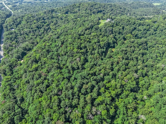 738 Mutton Hollow Hill Rd, Bethpage, TN 37022 - photo 14