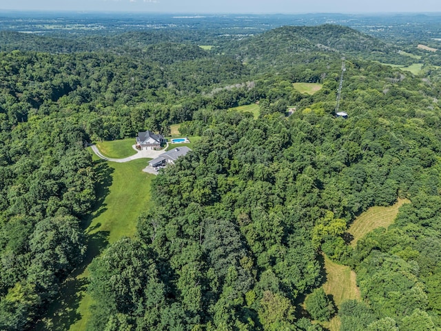 738 Mutton Hollow Hill Rd, Bethpage, TN 37022 - photo 8