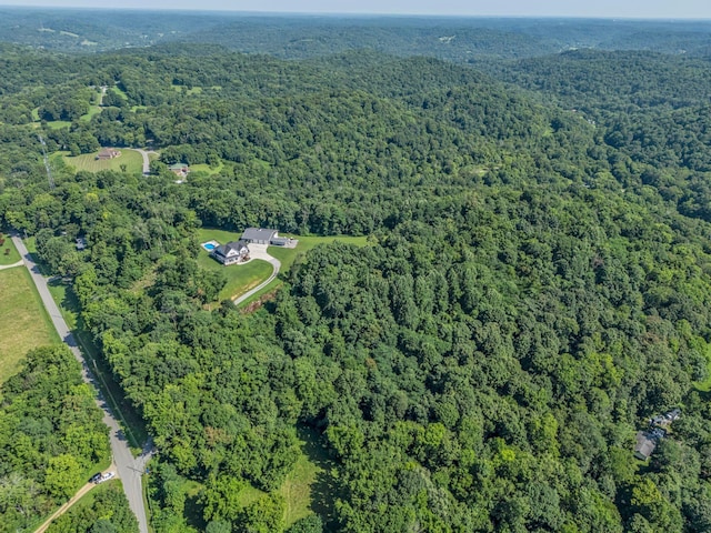 738 Mutton Hollow Hill Rd, Bethpage, TN 37022 - photo 10