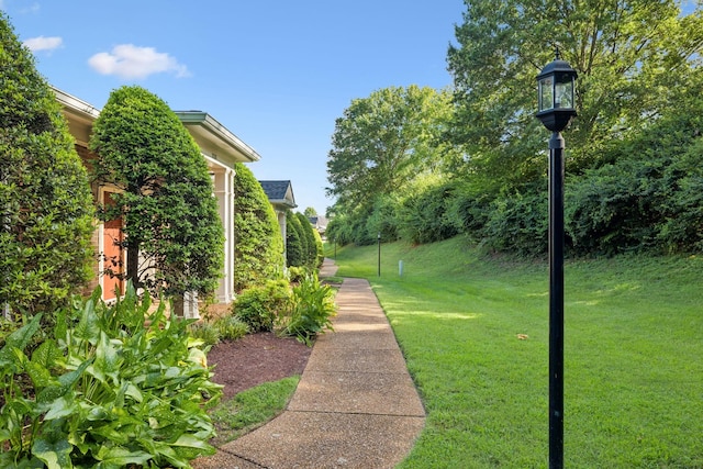 1253 Brentwood Pt, Brentwood, TN 37027 - photo 4