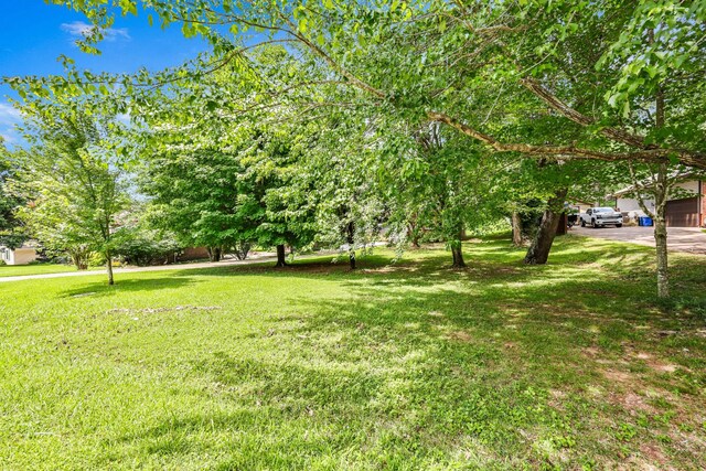 2170 New England Pl, Clarksville, TN 37043 - photo 35