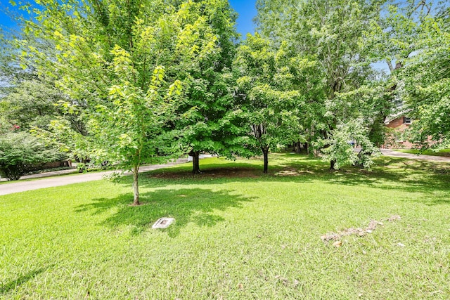 2170 New England Pl, Clarksville, TN 37043 - photo 34