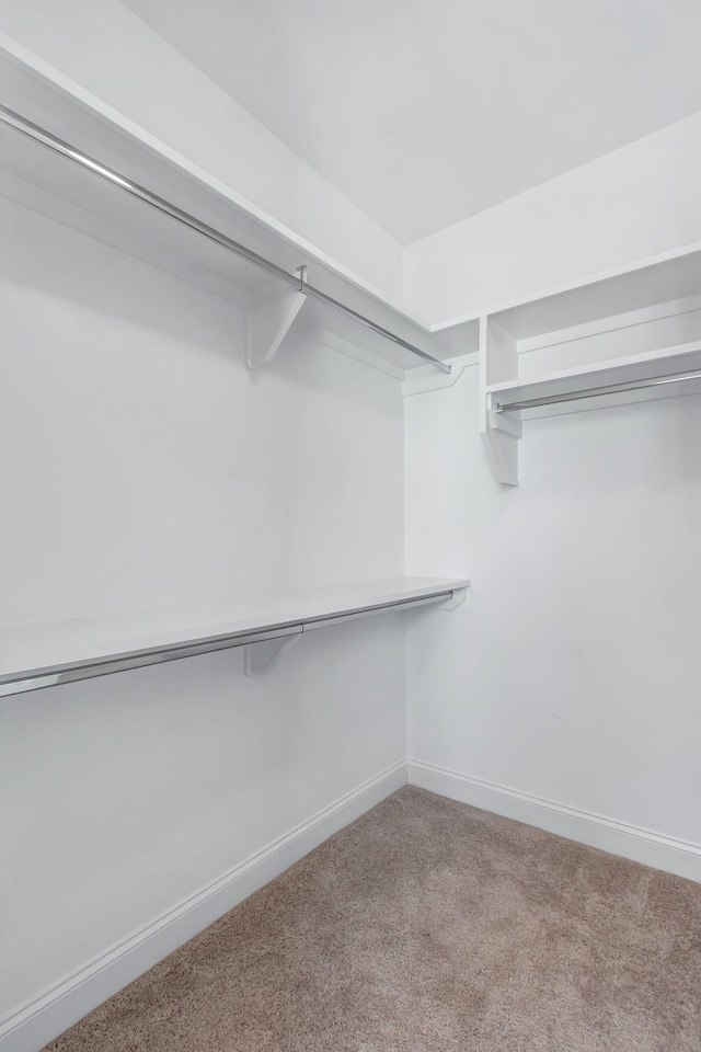 3062 Allenwood Dr, Thompsons Station, TN 37179 - photo 41