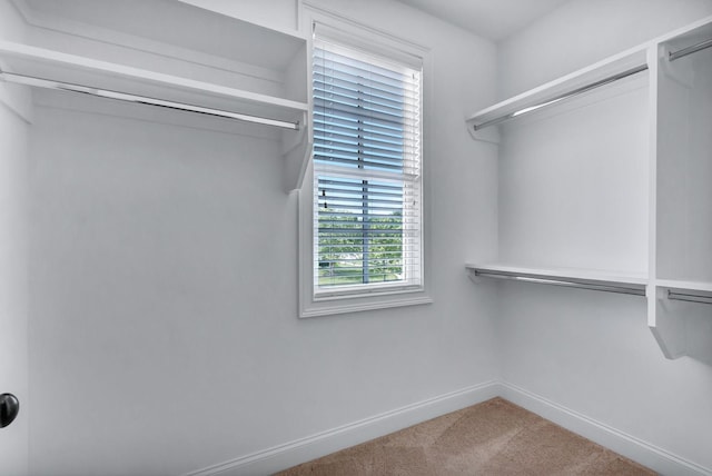 3062 Allenwood Dr, Thompsons Station, TN 37179 - photo 44