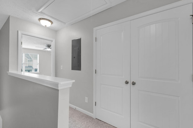 807 Lower Park Pl, Antioch, TN 37013 - photo 10