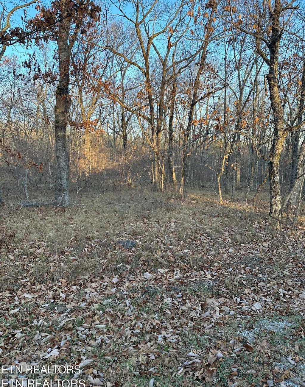 117 Berlingwood Ln, Crossville, TN 38558 - photo 1