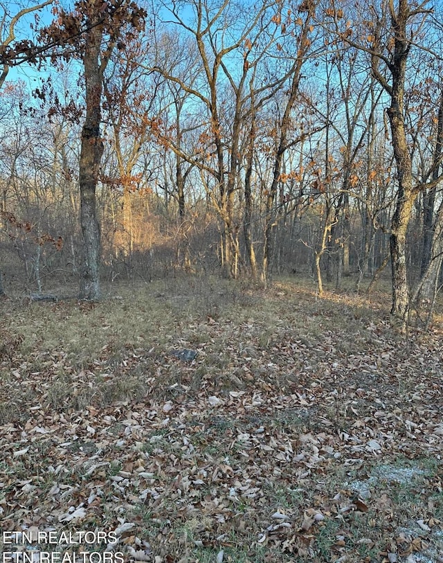 117 Berlingwood Ln, Crossville, TN 38558 - photo 1