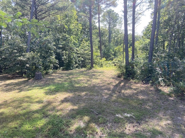 359 Cunningham Ln, Lobelville, TN 37097 - photo 6