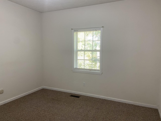 359 Cunningham Ln, Lobelville, TN 37097 - photo 26