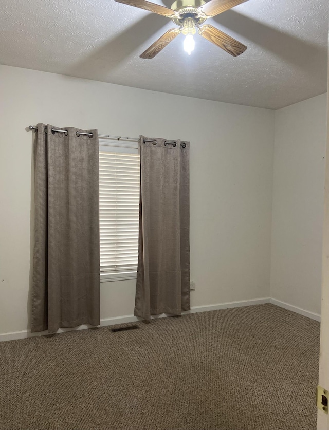 359 Cunningham Ln, Lobelville, TN 37097 - photo 23